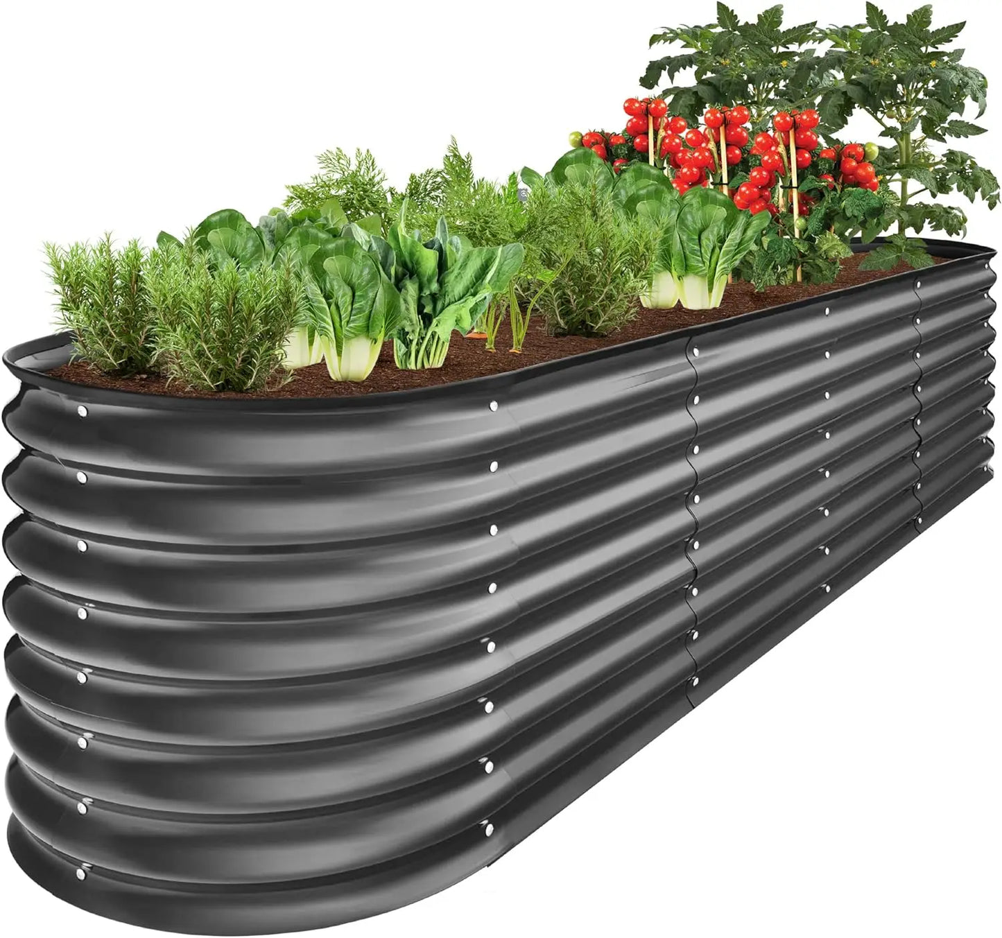 Metal Raised Garden Bed for Deep Root Vegetables and Herbs