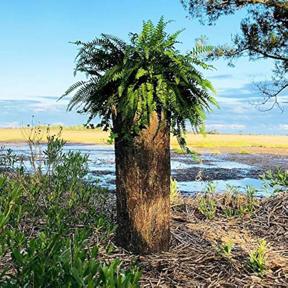 Large Hollow Log Planter for Outdoor Garden and Yard
