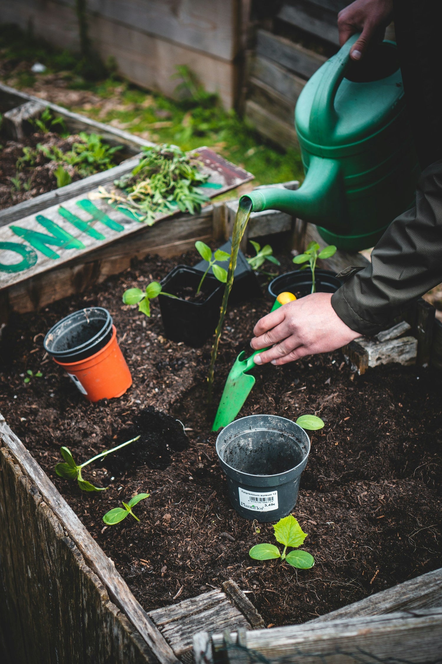 Garden Essentials
