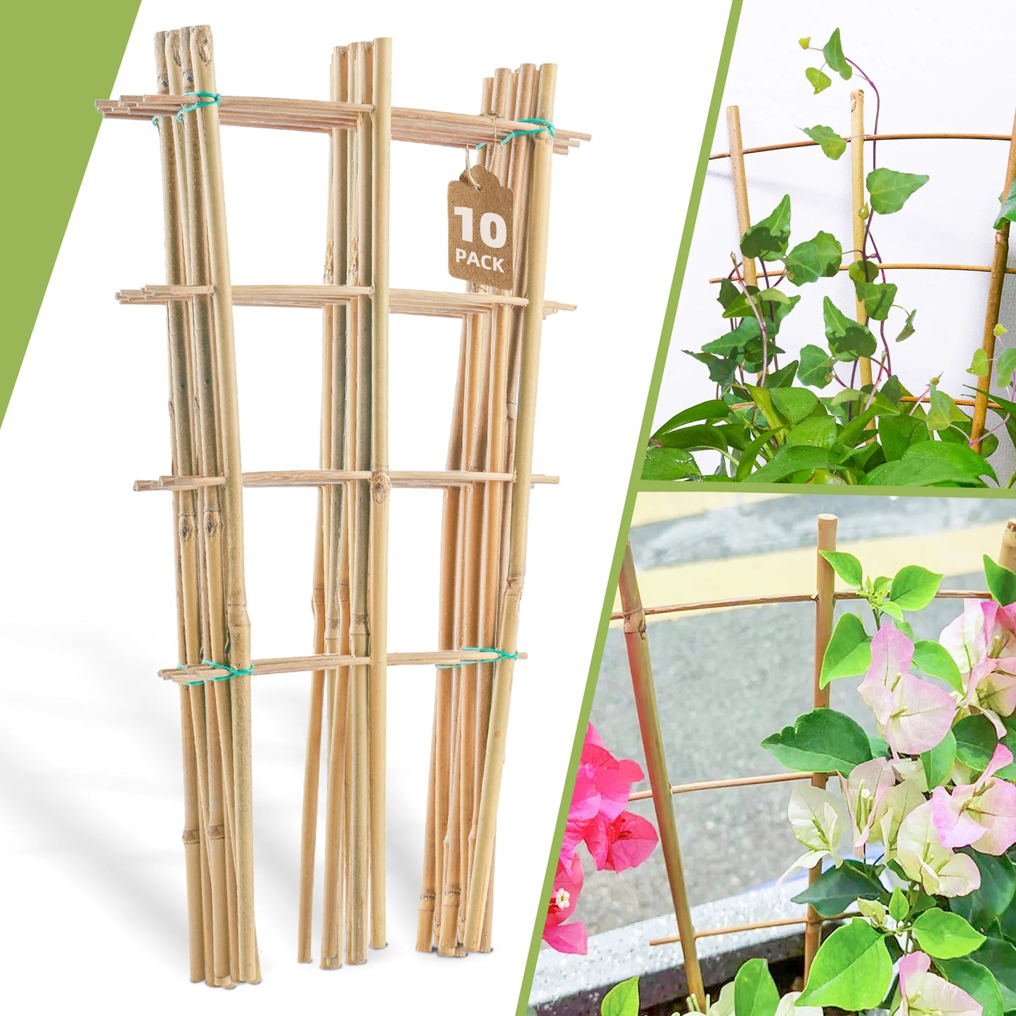 Bamboo Trellis Plant Support for Climbing Plants and Vines