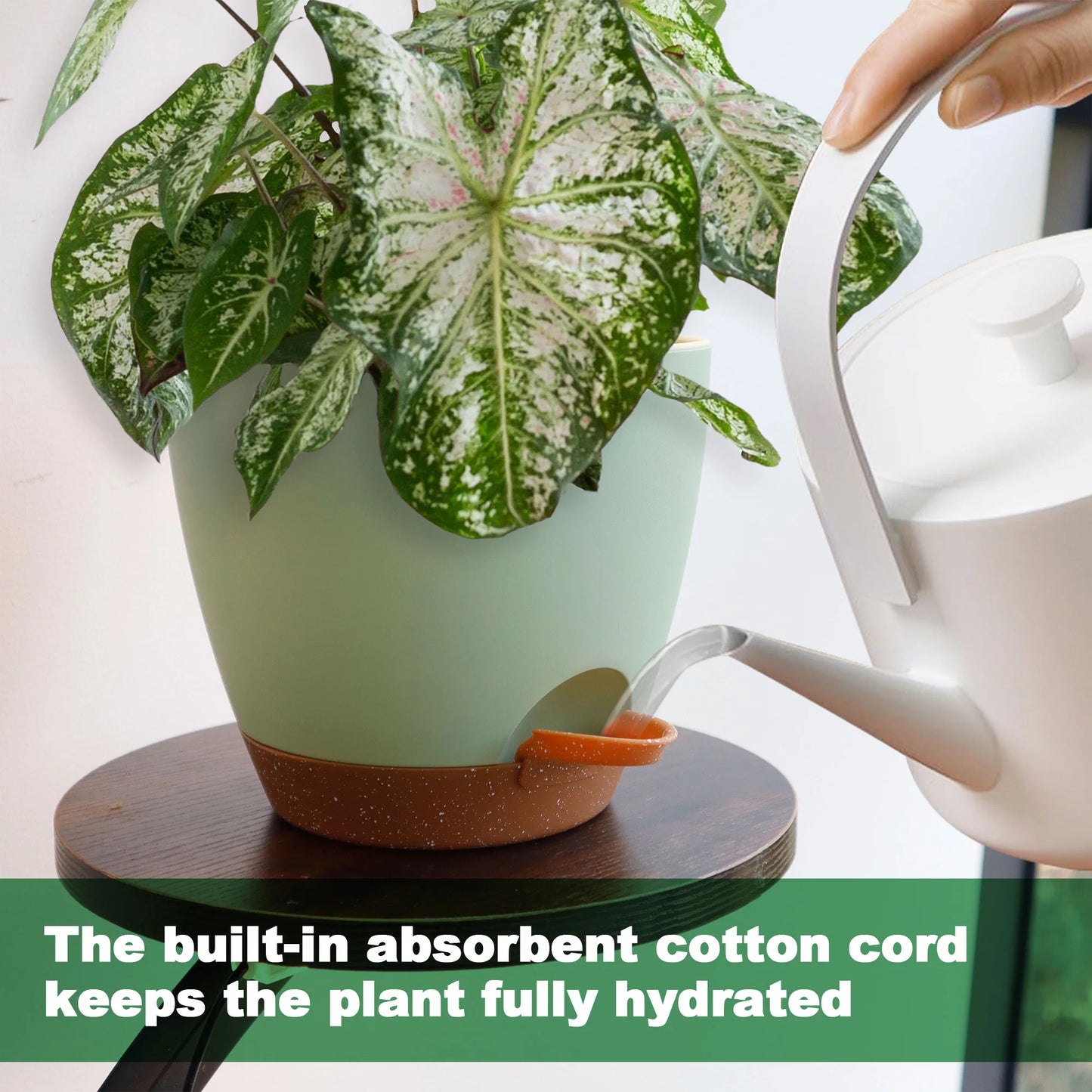 Self Watering Planters Set with Drainage Holes and Saucers