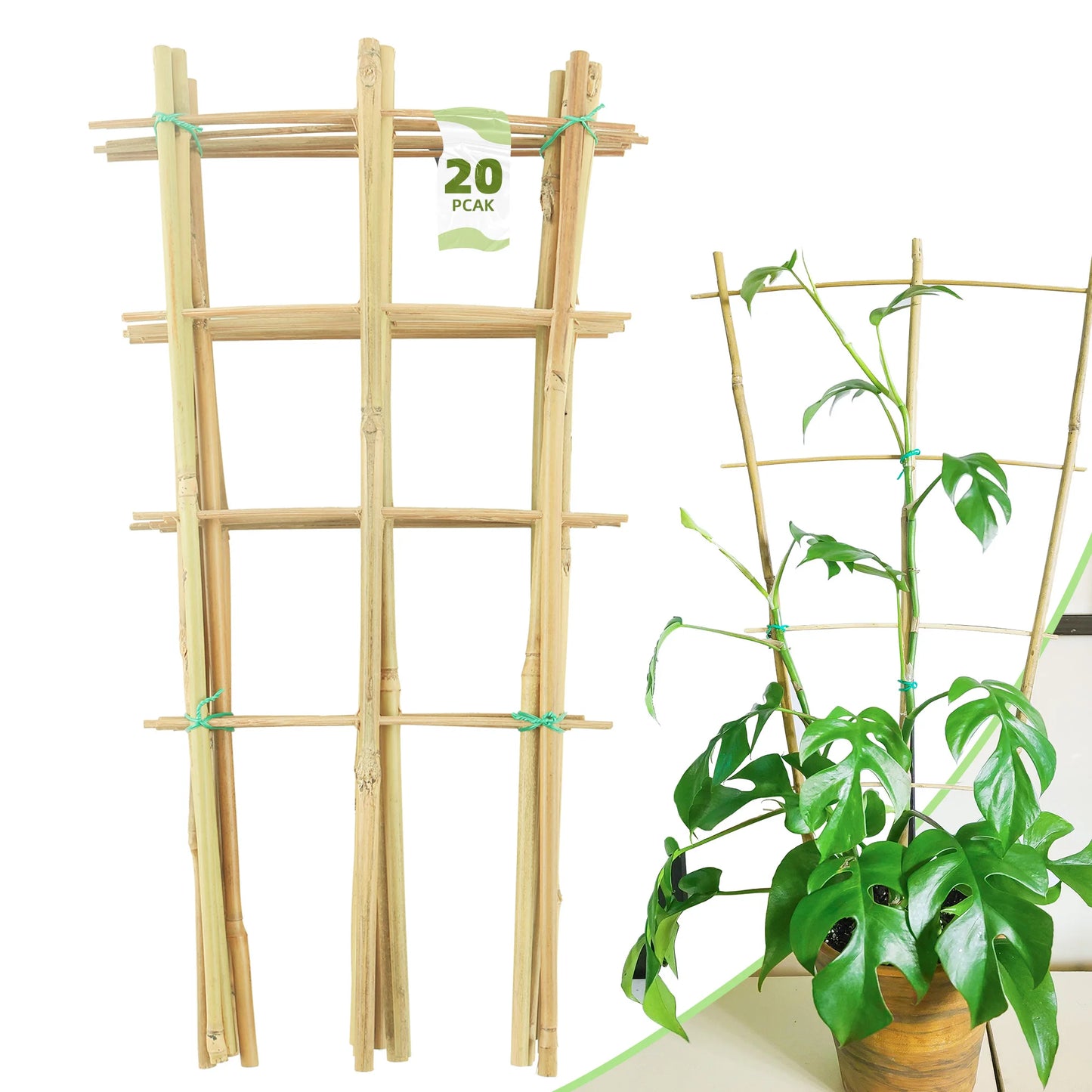 Bamboo Trellis Plant Support for Climbing Plants and Vines