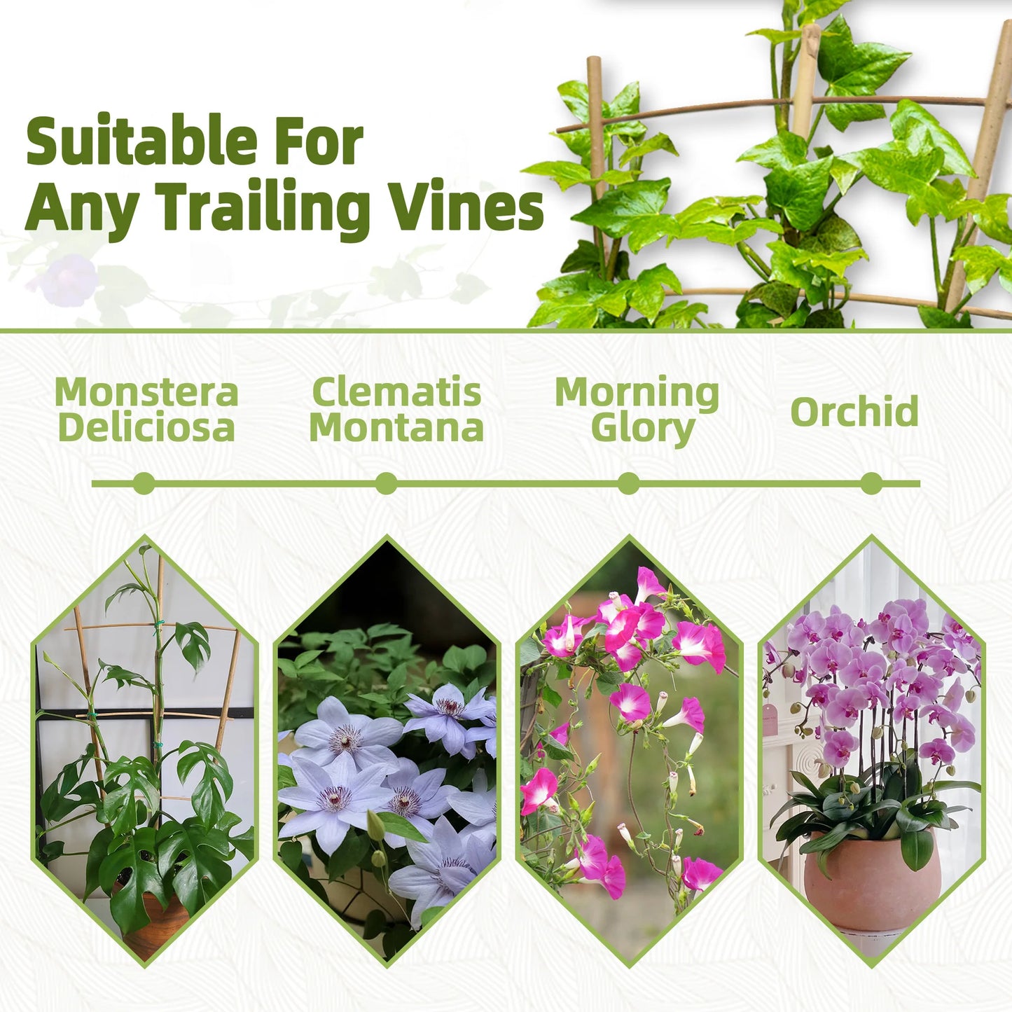 Bamboo Trellis Plant Support for Climbing Plants and Vines