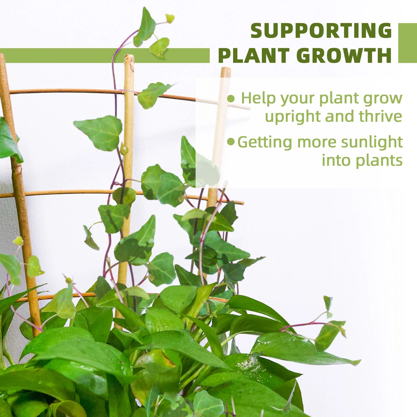 Bamboo Trellis Plant Support for Climbing Plants and Vines