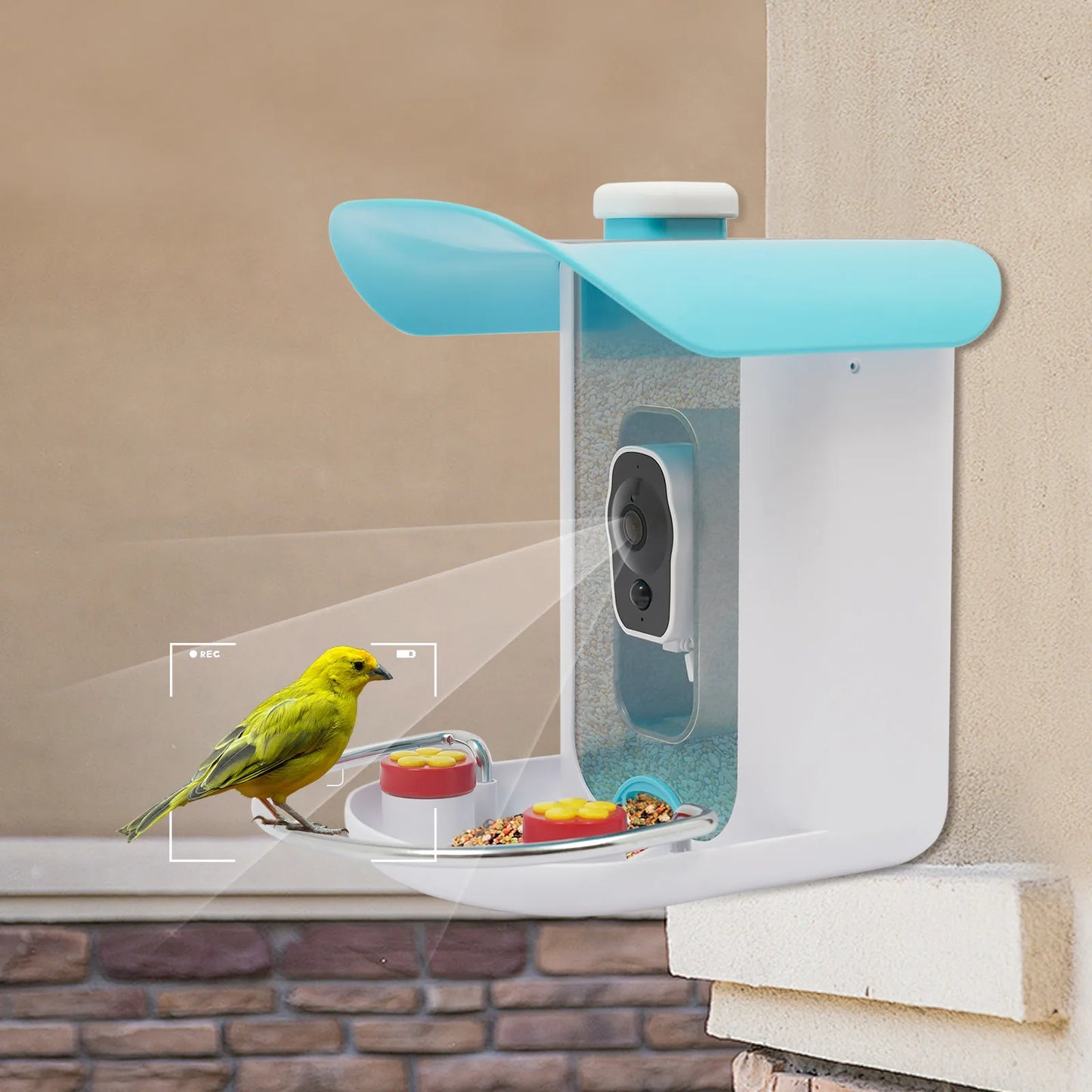 Outdoor Solar Smart Bird Feeder Camera with AI Recognition