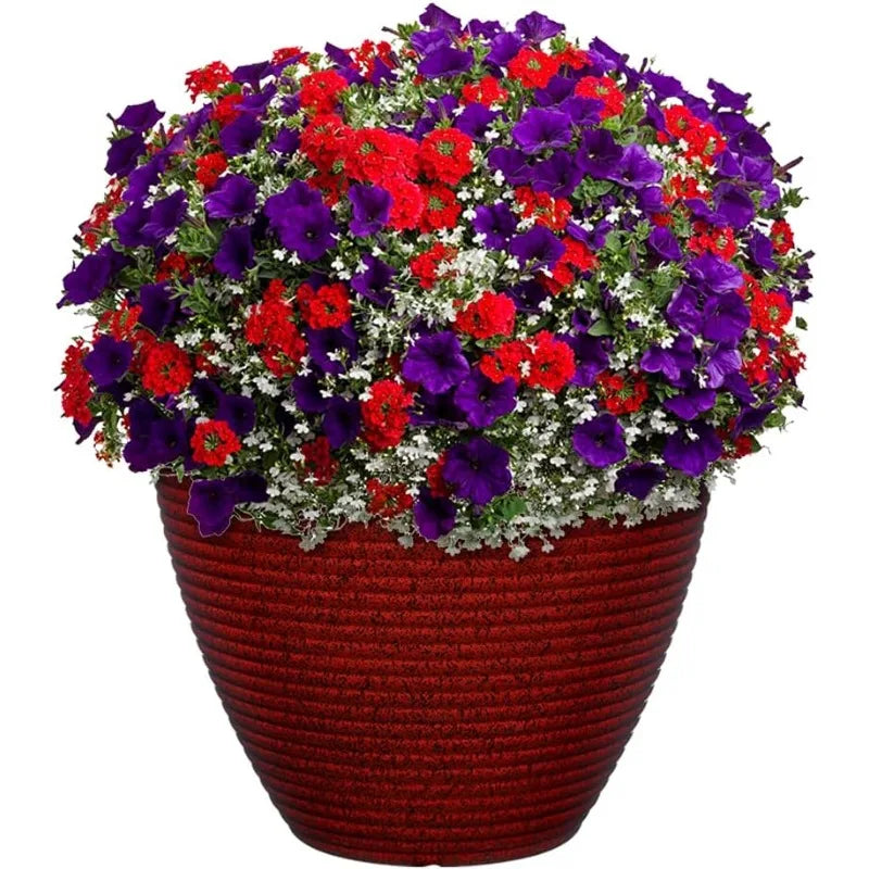 Premiere Collection Rustic Resin Planter for Stylish Home Decor