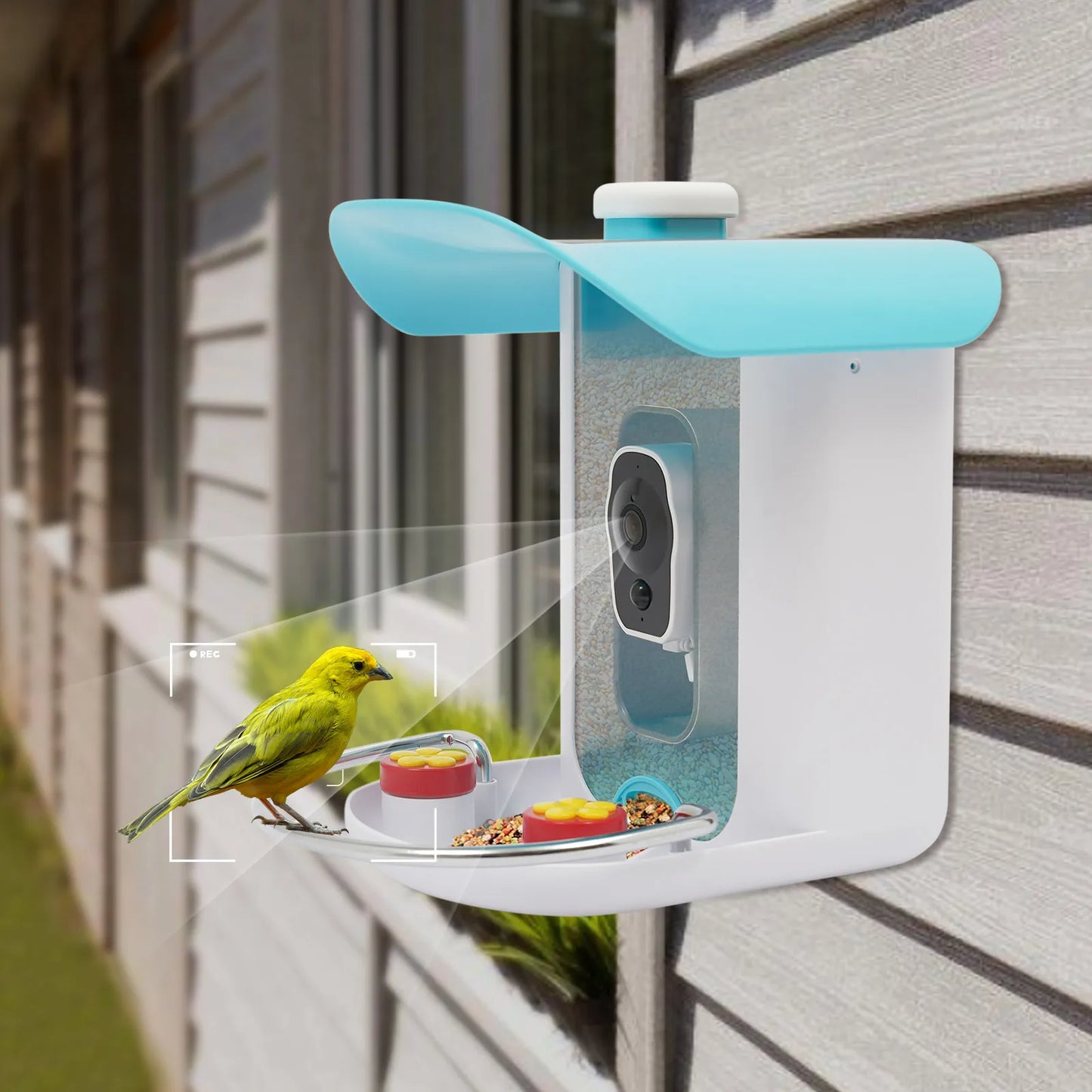 Outdoor Solar Smart Bird Feeder Camera with AI Recognition