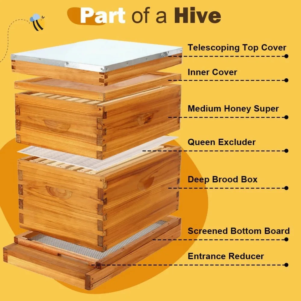 Complete Beekeeping Kit with Beeswax Dipped Hive Boxes