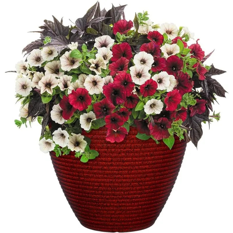 Premiere Collection Rustic Resin Planter for Stylish Home Decor