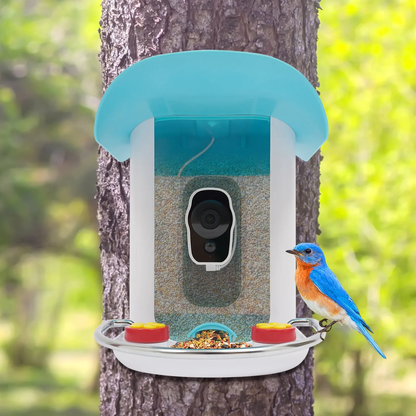 Outdoor Solar Smart Bird Feeder Camera with AI Recognition