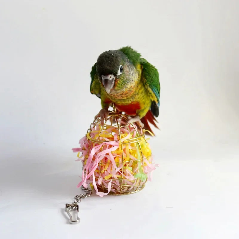 Hanging Metal Bird Feeders For Outdoor Pet Enjoyment