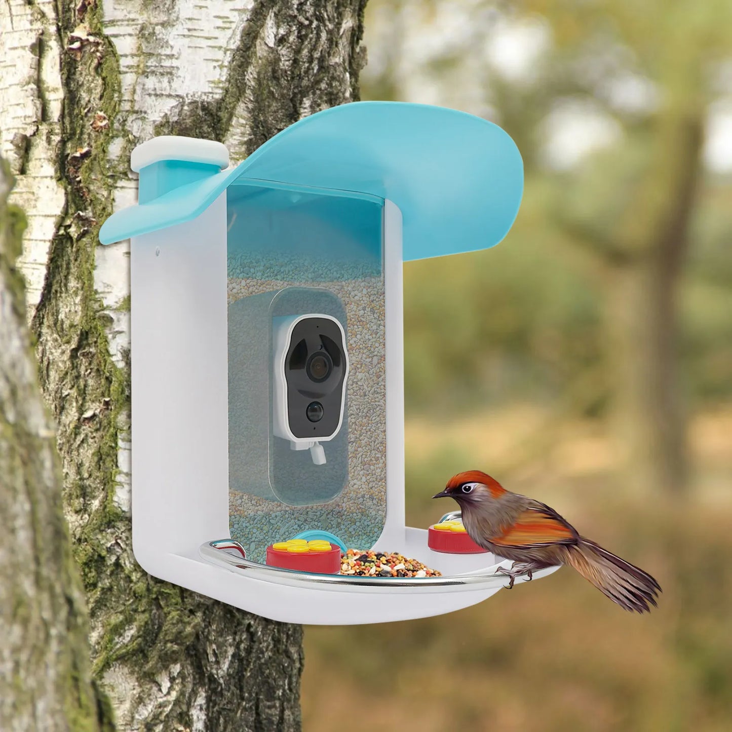 Outdoor Solar Smart Bird Feeder Camera with AI Recognition