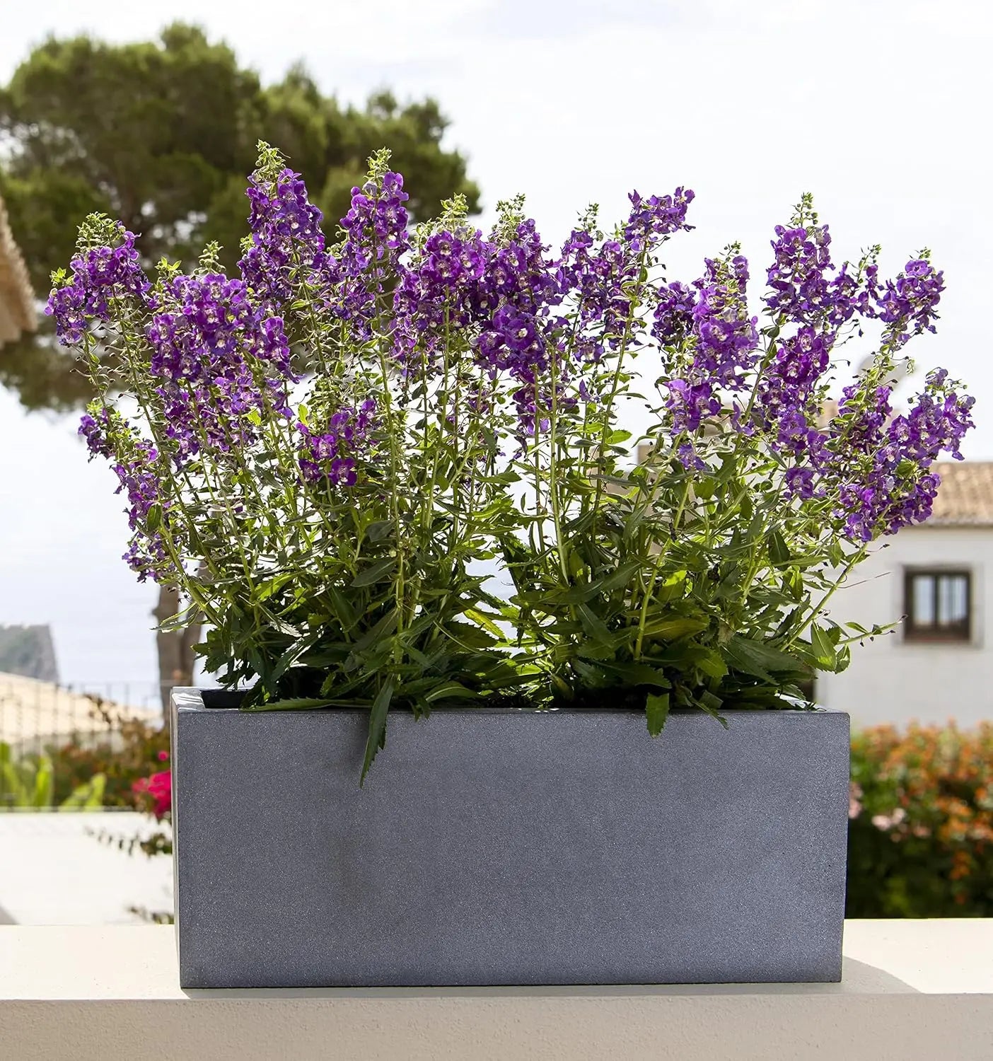 Modern White Balcony Planter Box for Elegant Outdoor Decor