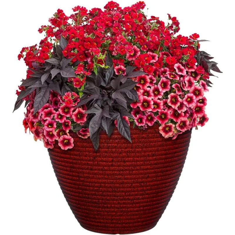 Premiere Collection Rustic Resin Planter for Stylish Home Decor