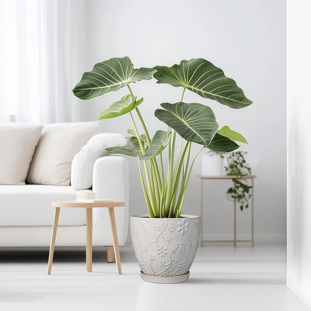 Large Round Ceramic Planter Pot with Drainage Hole and Saucer