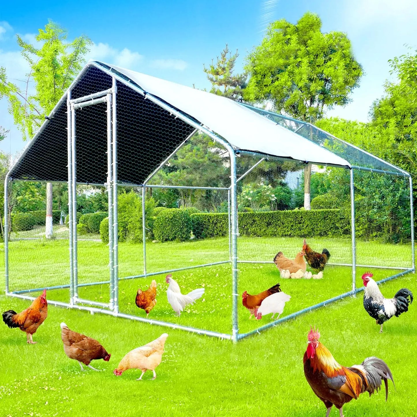 Durable Metal Chicken Coop with Run for Happy Chickens