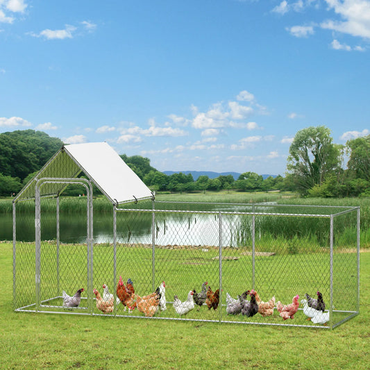 Durable Outdoor Poultry Cage with Waterproof Cover for Chickens