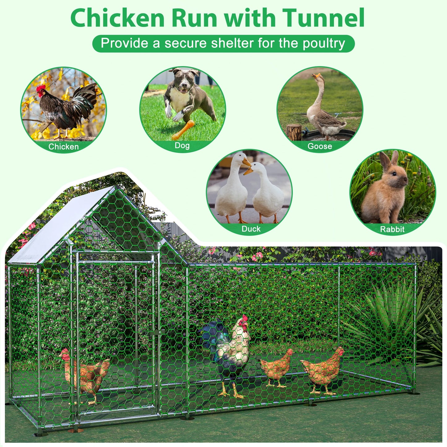 Metal Chicken Coop Run for Backyard Poultry Habitat and Safety