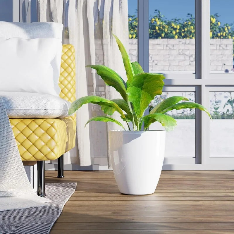 Modern Plant Pots Set for Indoor and Outdoor Decor